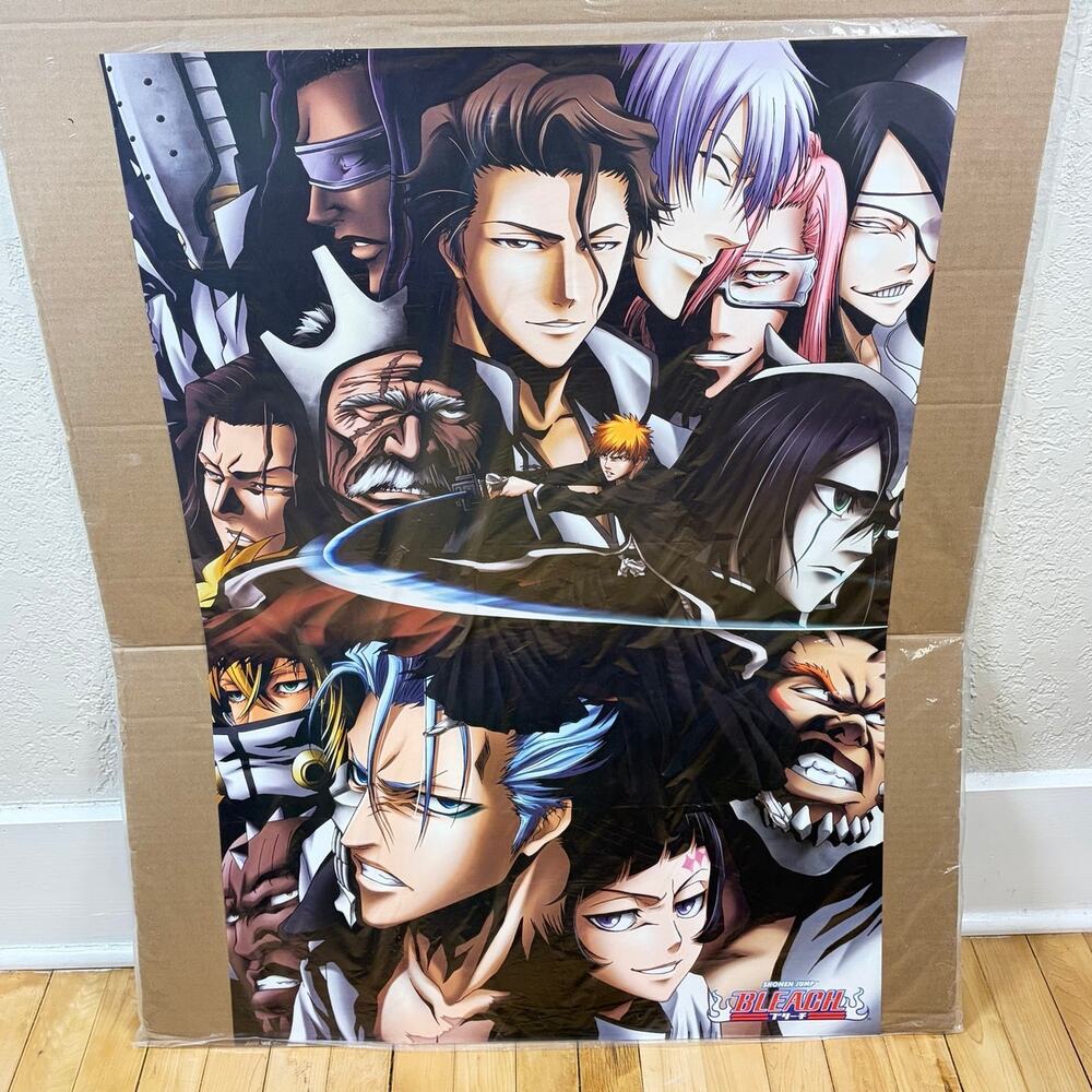 Bleach Anime Manga Character Poster 24" x 36"